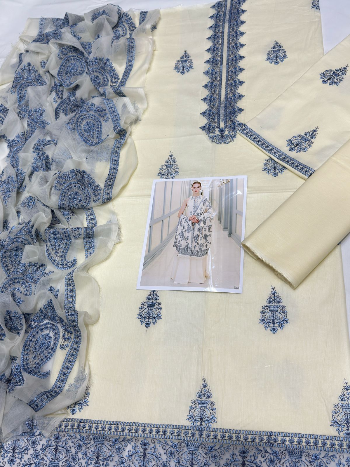 JHANNAK Presents Summer Collection 2025